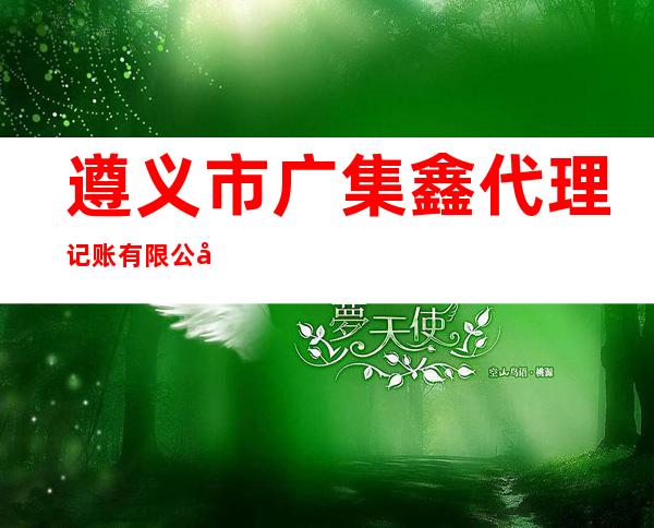 遵义市广集鑫代理记账有限公司